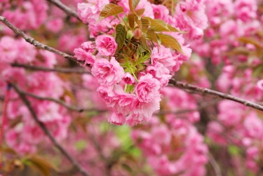温州苍南10线下个人借款平台一站式服务，轻松解决资金难题