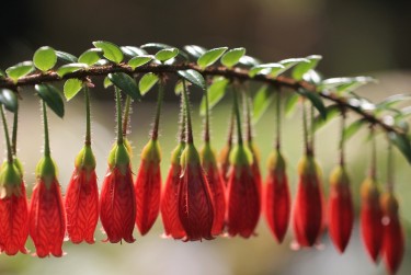 温州苍南10零用贷短借：轻松解决临时资金需求
