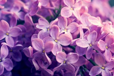 温州苍南10企业急用钱贷款攻略：快速融资解燃眉之急